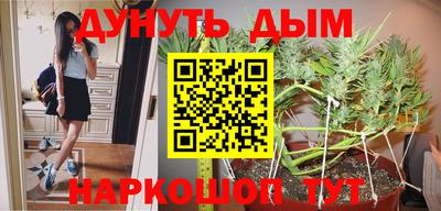 Альфа ПВП Кунгур